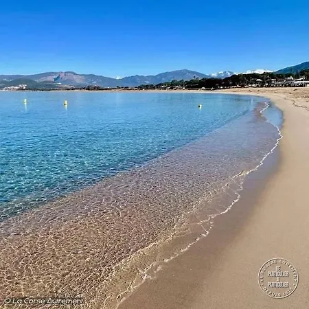 شقة Appart' D'exception En Front De Mer & Jardin Prive *